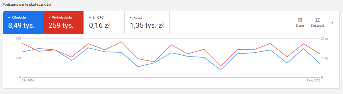 Reklama Google Ads Big Fish